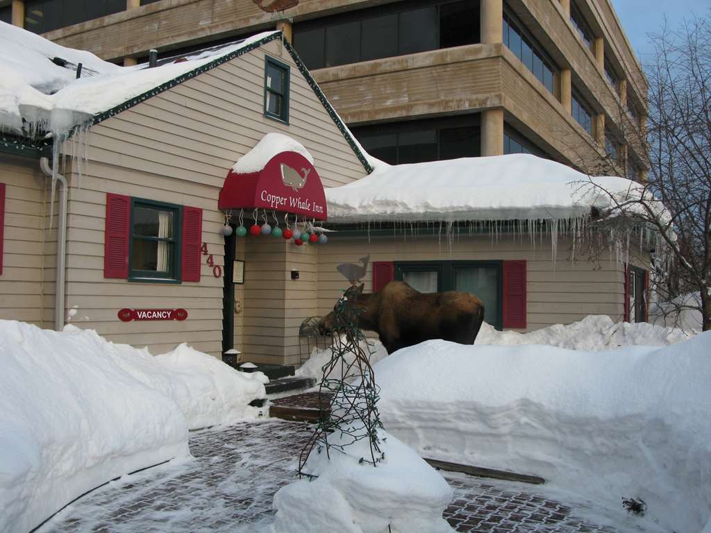 Copper Whale Inn Anchorage Exteriér fotografie